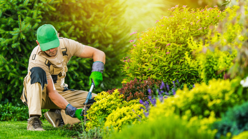 Summer Maintenance